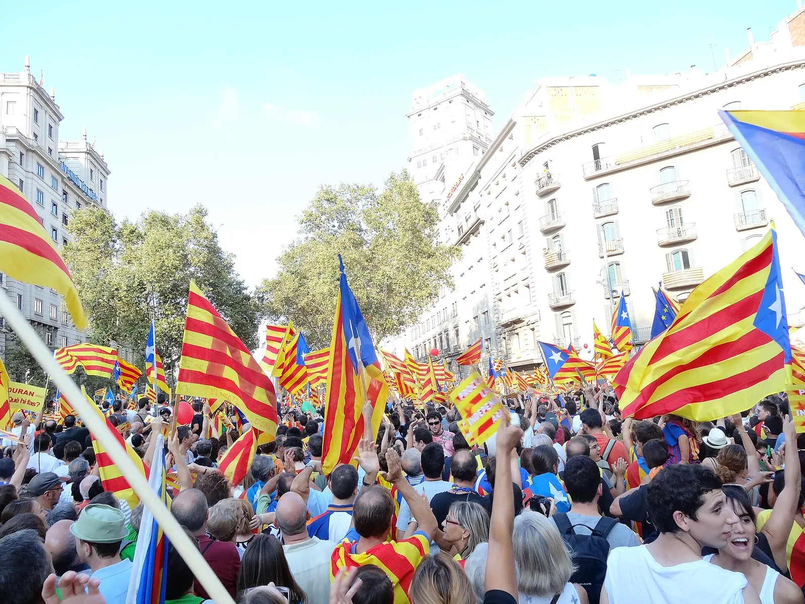 Manifestació de la Diada a Barcelona, plena d'estelades.